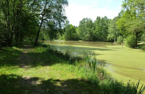 Ferienwohnung Gerken - Foto 20