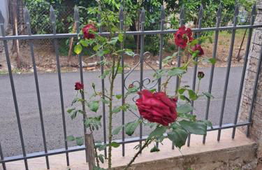 Traditional Stone House-Ideal for families - Foto 11