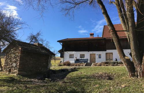 Ferienhaus in Konzell in Gartenn he - Foto 16