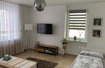 Grenznahe Ferienwohnung mit 4 Schlafzimmern - Foto 2