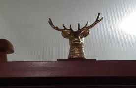 Apartment 365 mit Sauna, Schwimmbad und Fitness - Foto 34