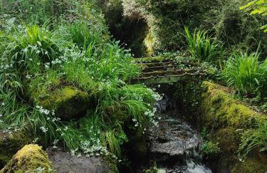 Penare Terrace in Penzance - Photo 33