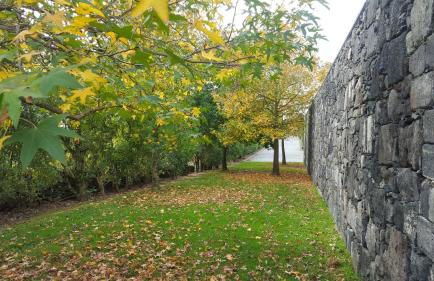 Quinta de Santa Clara - Photo 59