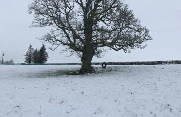 Elishaw Farm Holiday Cottages - Foto 50