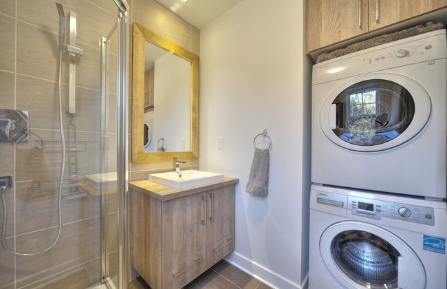 Domaine du parc de la forêt ouareau - Photo 25