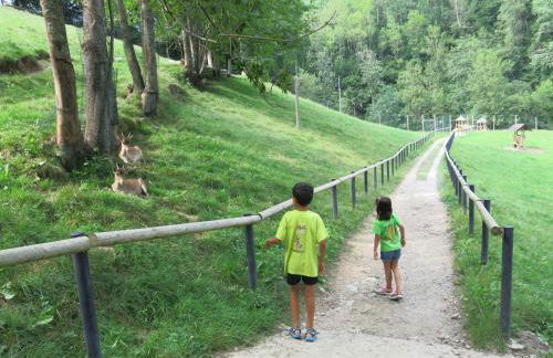 Can Marxant, céntrico, servicios al lado y cruce de senderos - Foto 36