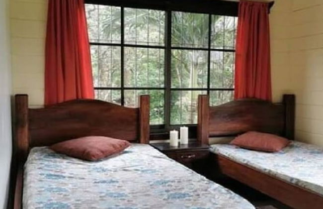 Vistas del Tenorio - Photo 4