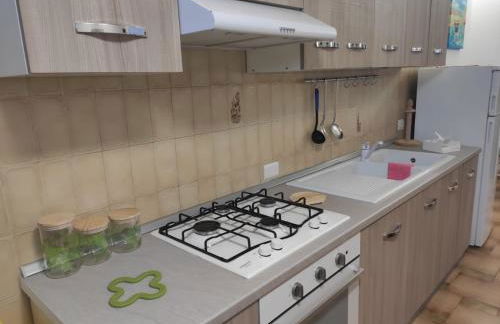 The Gods Brothers - Foto 11