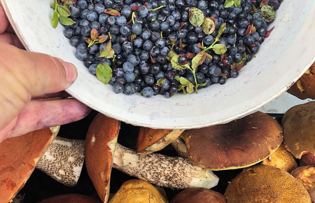 Charming 3-bed Villa in Lipno nad Vltavou - Photo 18