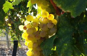 75 Avenida de la Rioja - Foto 29