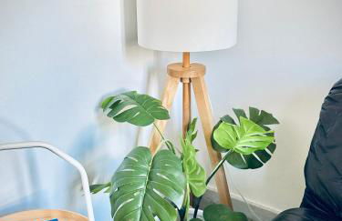 Amplio y luminoso apartamento Plz de la Merced - Photo 13