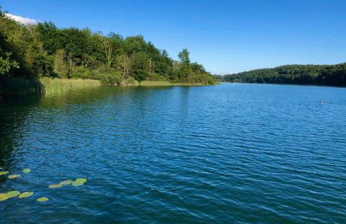 Ferienwohnung Schwalbennest - Photo 8