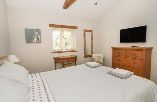 Golson Stable - Foto 14