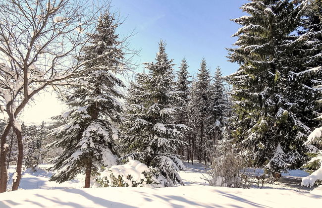 Zum munteren Eichhörnchen - Foto 26