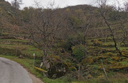 Casa Olho da Lebre Barrocal - Foto 34