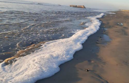 Les gîtes de Tréguennec - Foto 62