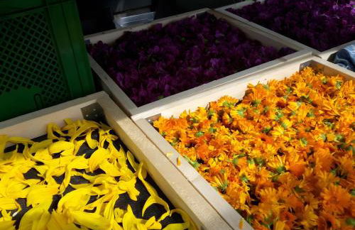 Freilandhof - Foto 8