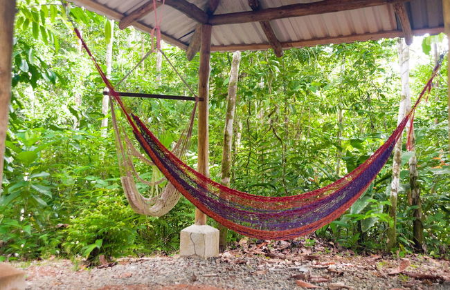 Portasol Living - Photo 29