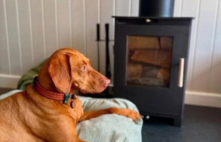 The Den - Modern cabin with wood burning stove - Foto 2