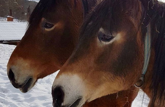 Captivating 1-bed Studio - Foto 21