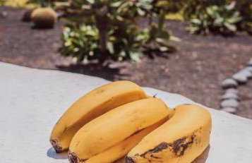 Casa Norb Teror - Foto 35