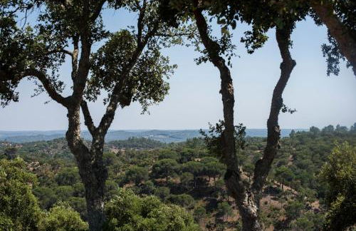 Herdade das Barradas da Serra - Foto 10