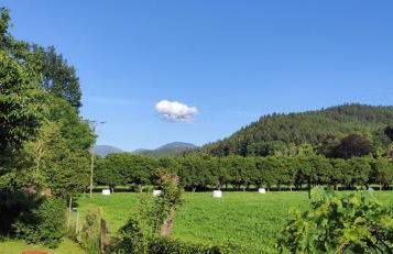 Ferienwohnung Belchenblick - Foto 14