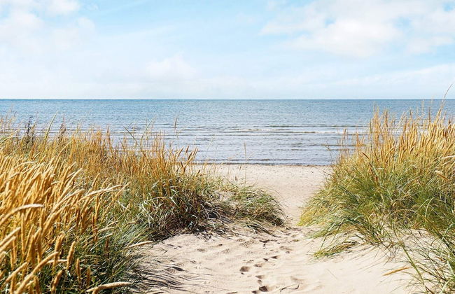 4 Person Holiday Home in Falkenberg - Photo 11