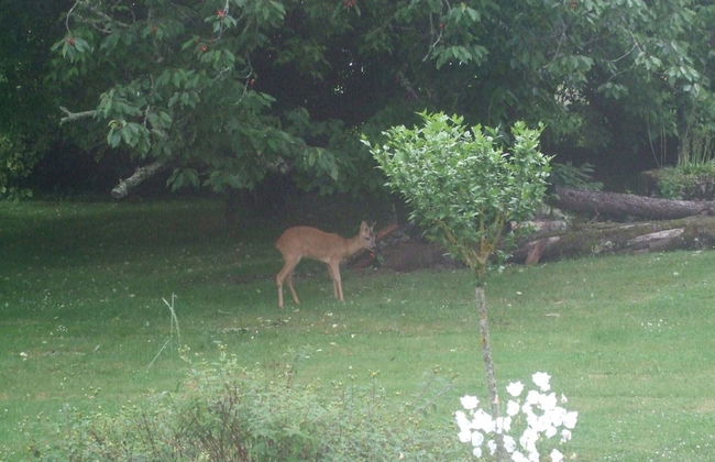 Beautiful Holiday Home With Private Pool - Foto 37