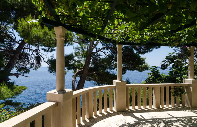 Plavac Mali - Photo 7