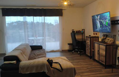 Grande villa 2 chambre ,salle de bain, grand séjour avec cuisine équipée et salle a manger, une grande terrasse de 40m2 donnant sur un grand jardin avec un parking en gravier de 500m2 - Foto 5