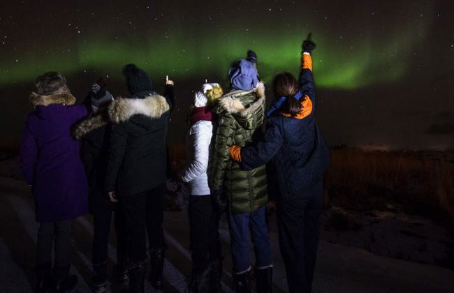 Jagen Sie die Nordlichter mit einem Fotografen - Halbtagestour in kleiner Gruppe - Foto 6