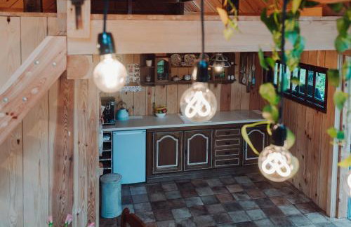 Iglasta chata - Foto 8