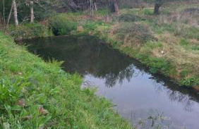 Moinho do Formigal - Foto 48