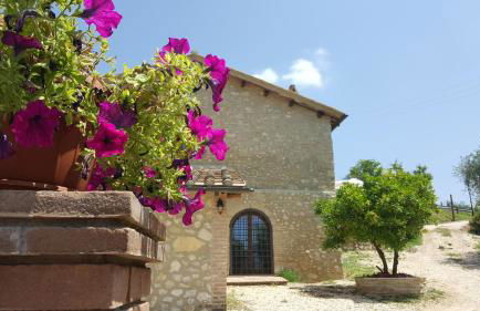 Il Merangolo - Foto 18