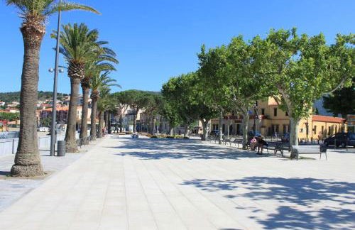 Appart T1 BANYULS SUR MER LA GRANDE BLEUE BN410-023 - Foto 14