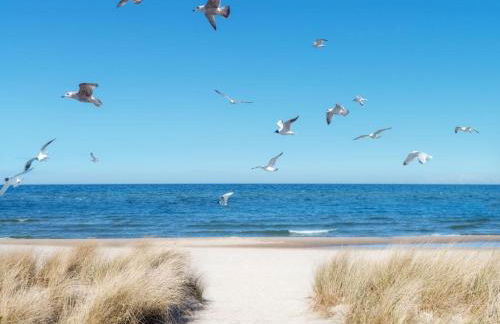 Apartment Dat Lütje 516 by Interhome - Foto 18