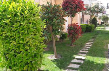 Olive Apartments - Foto 9