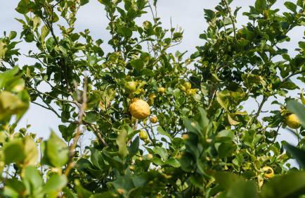 La Villa del Relax - Foto 44