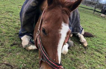 Henrow House Lymington 4 Bed Detached Home with Hot Tub - Foto 48
