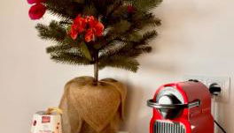 La Pérgola Calma - Foto 3