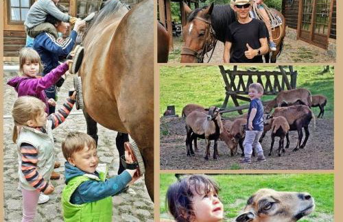 Tamarynowa Osada - Kraina Udanego Wypoczynku - Foto 9