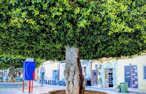 Casa Vita in centro - Foto 42