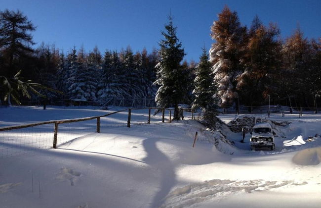 House in Bohemian Near Ski Slope - Foto 35