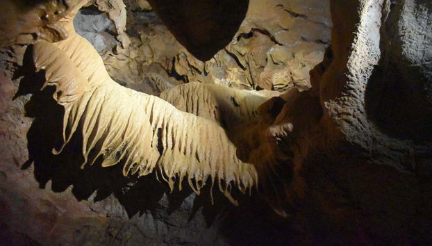 Take in the beautiful details of caves