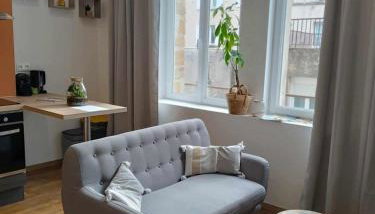 Joli appartement F2 hyper centre - Foto 3