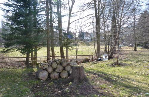 Haus Am Friedrichsbach - Foto 20