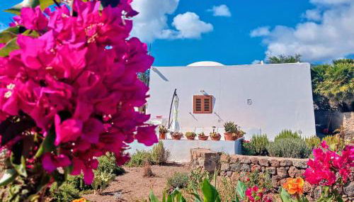 Dammuso Pantelleria - Fiori D'Ossidiana - Foto 2, Garden, Garden view