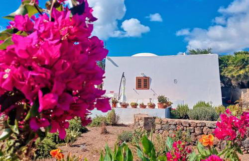 Dammuso Pantelleria - Fiori D'Ossidiana - Foto 2