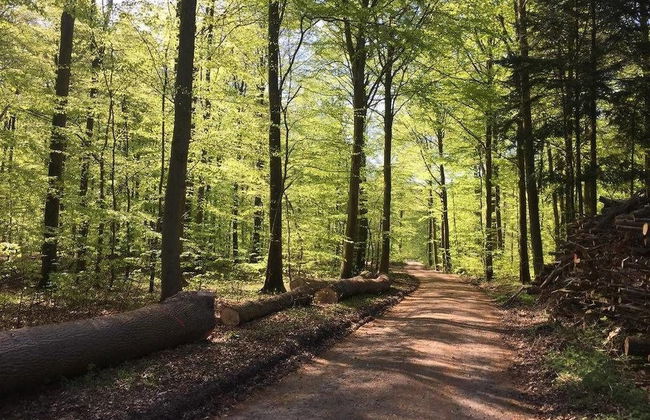 Kærskovgård ferielejligheder - Foto 44